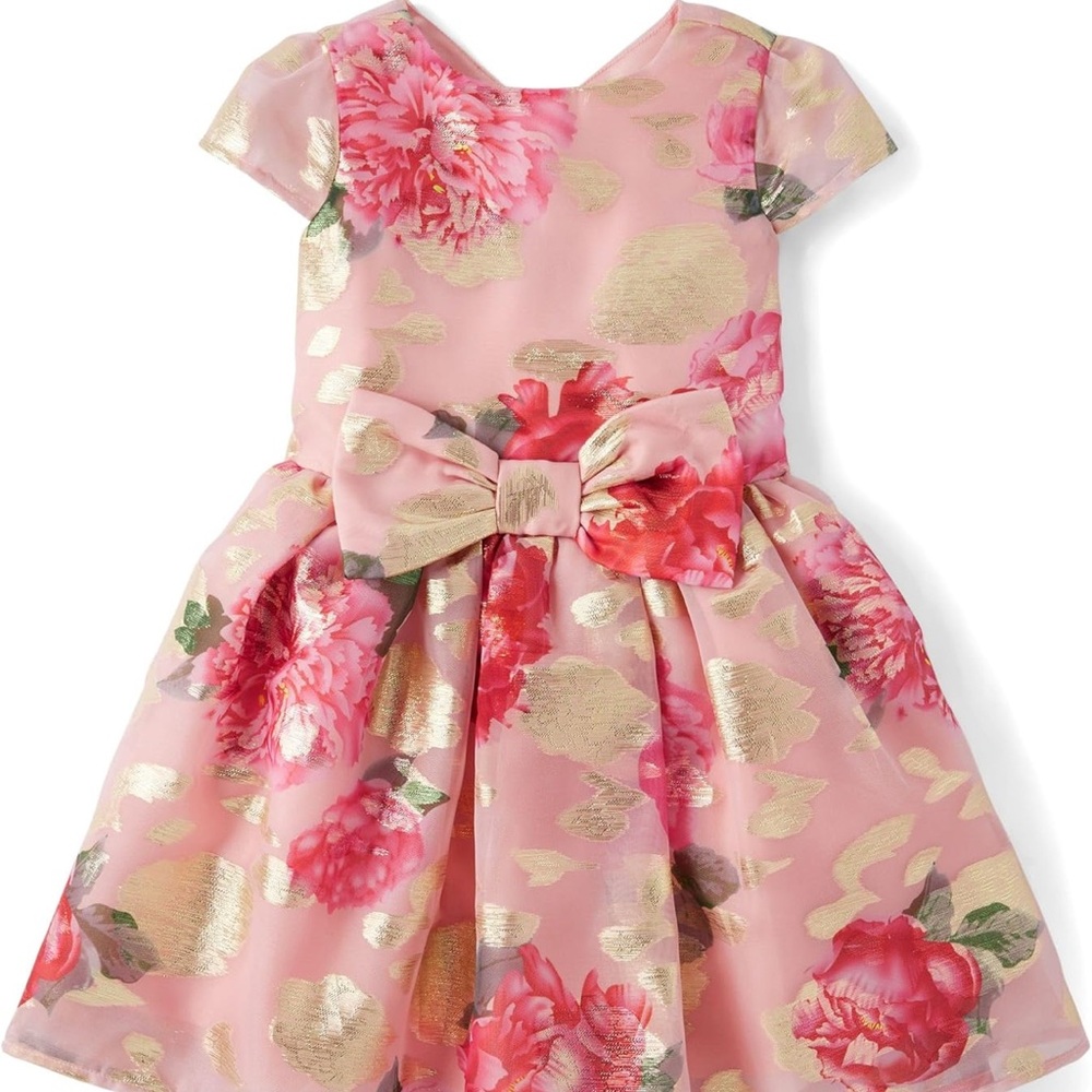 Gymboree Pink and Gold Floral Dress